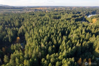 0 Bald Hills Road , Yelm, WA 98597 - Photo 6