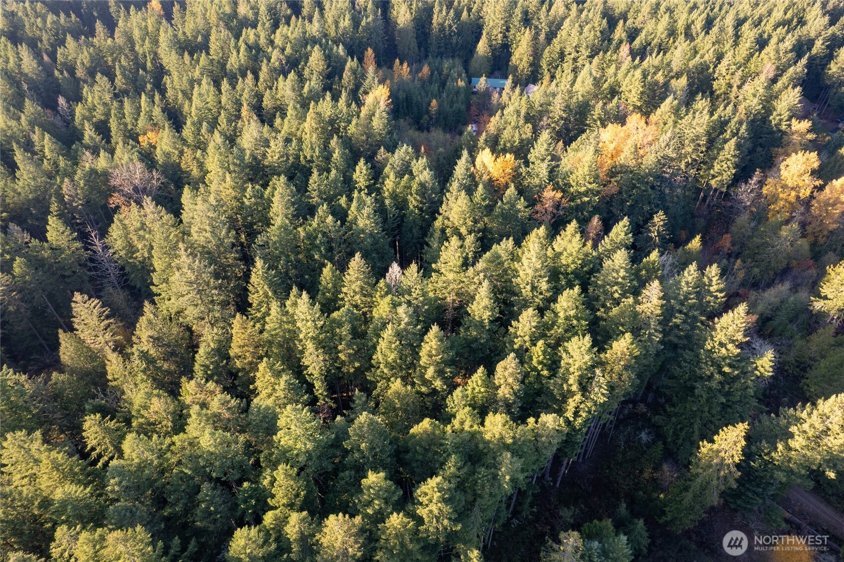 0 Bald Hills Road , Yelm, WA 98597