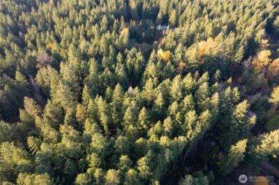0 Bald Hills Road , Yelm, WA 98597 - Photo 7
