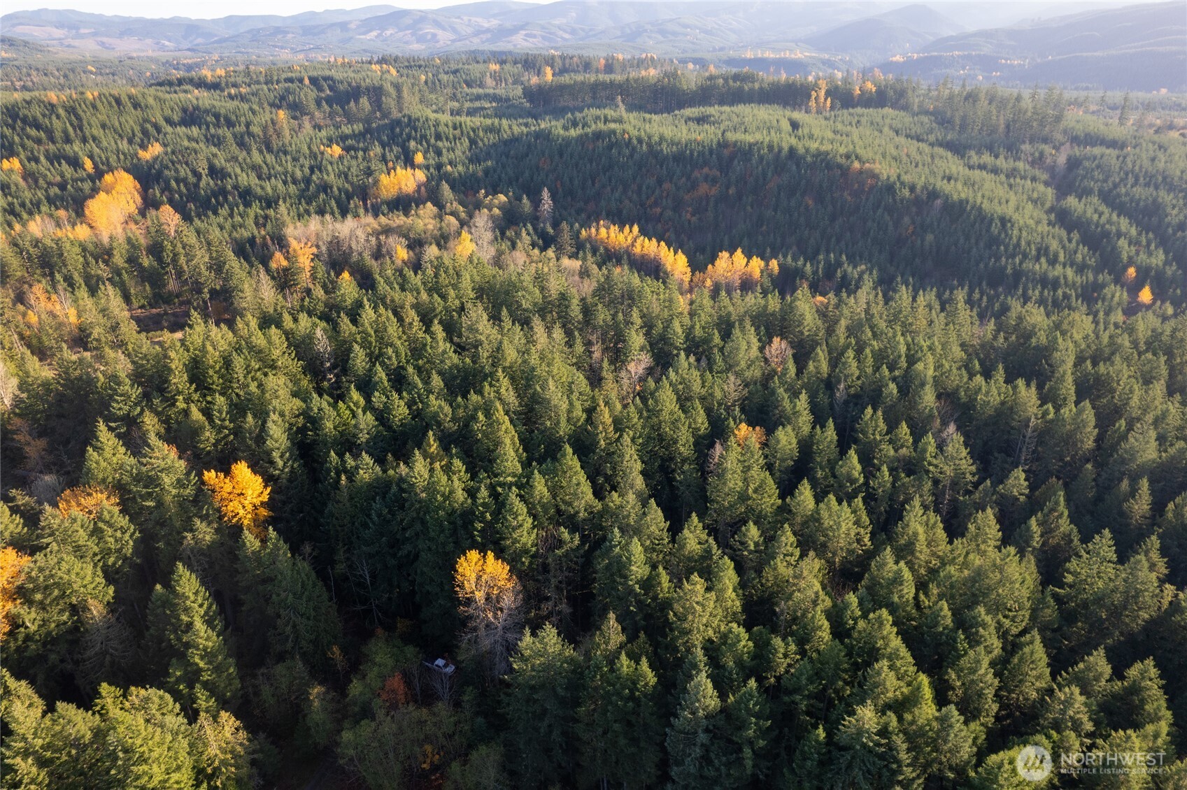 0 Bald Hills Road , Yelm, WA 98597