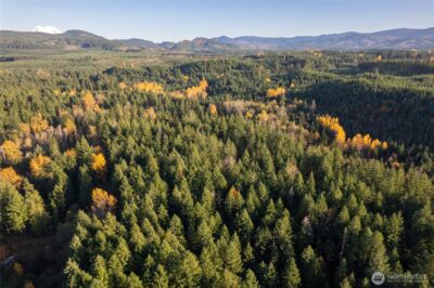 0 Bald Hills Road , Yelm, WA 98597 - Photo 10