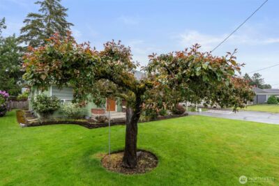 762 SW 18th Street , Chehalis, WA 98532 - Photo 25