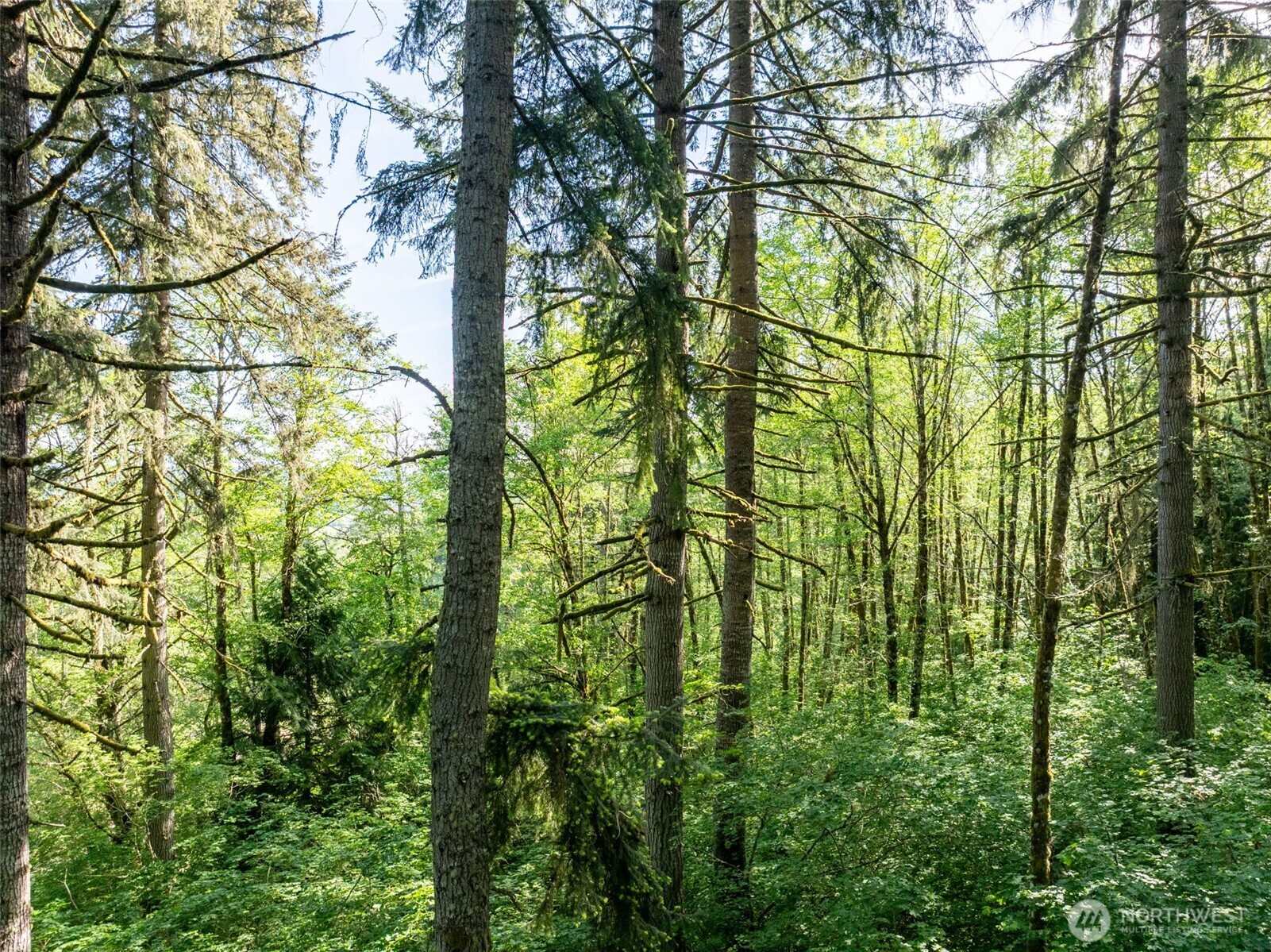 144 Penrose Lane , Chehalis, WA 98532
