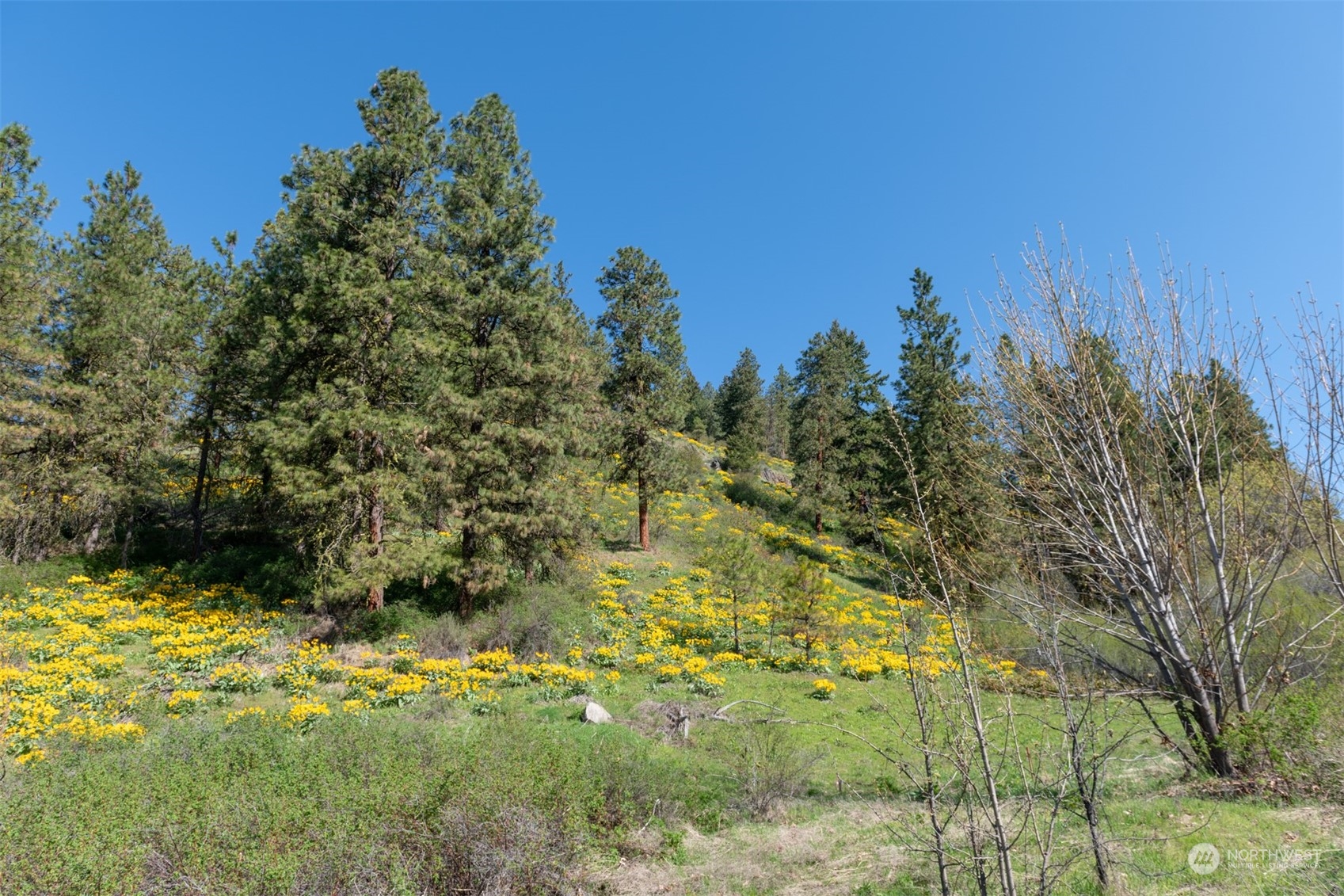 10690 Fox Road , Leavenworth, WA 98826