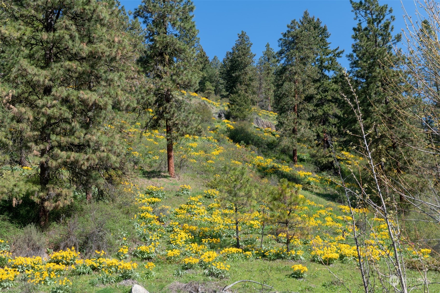 10690 Fox Road , Leavenworth, WA 98826