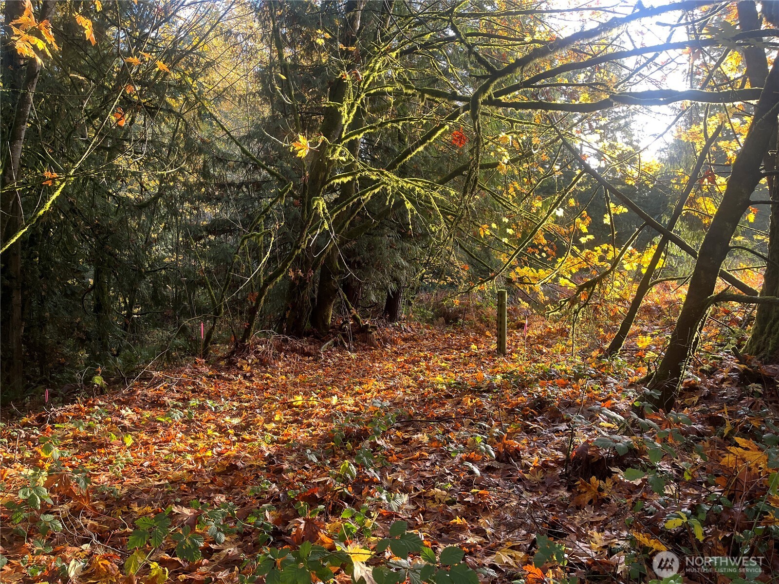 8621 SE Bethel Burley Road , Port Orchard, WA 98367