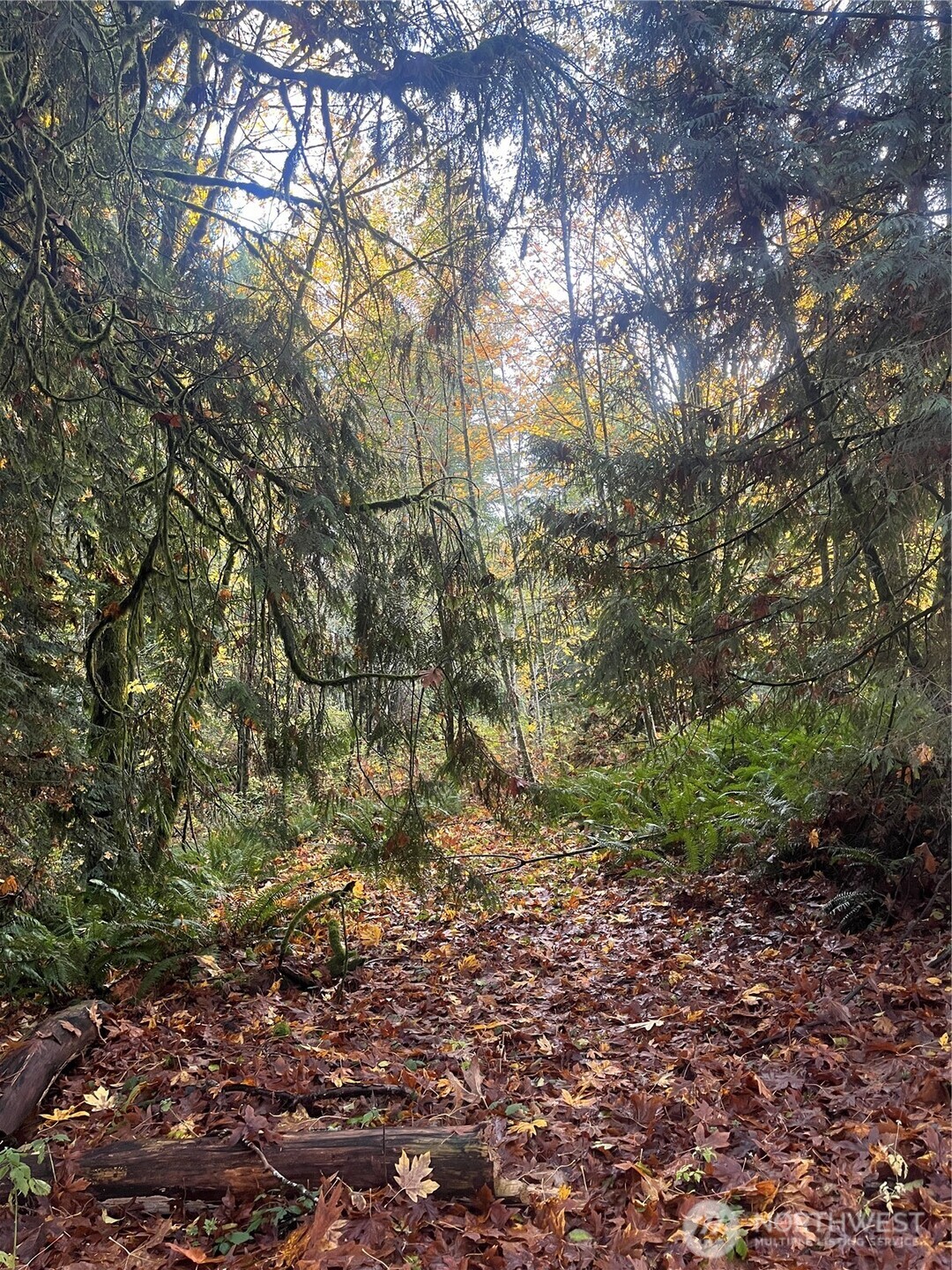 8621 SE Bethel Burley Road , Port Orchard, WA 98367