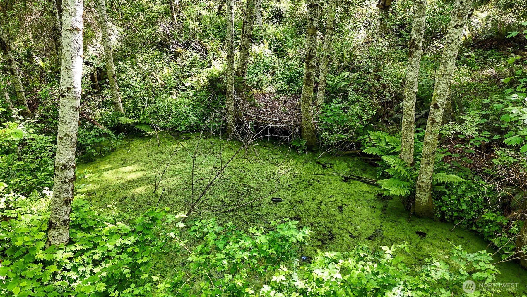 0 RS Sorenson , Yelm, WA 98597