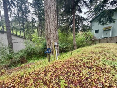 22441 Clearview Court SE, Yelm, WA 98597 - Photo 2
