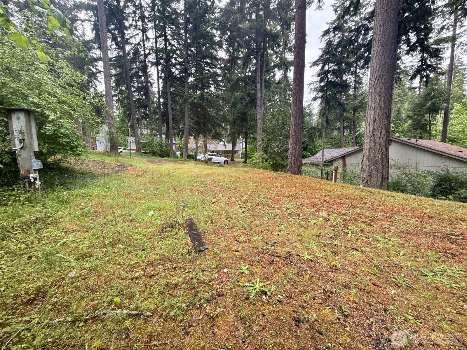 22441 Clearview Court SE, Yelm, WA 98597