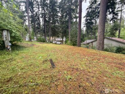 22441 Clearview Court SE, Yelm, WA 98597 - Photo 4