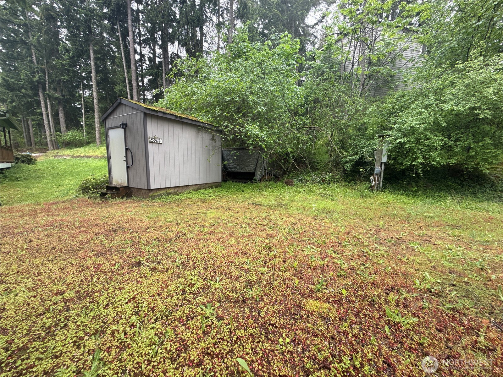 22441 Clearview Court SE, Yelm, WA 98597