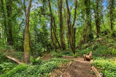 14517 Henderson Road NE, Bainbridge Island, WA 98110 - Photo 35
