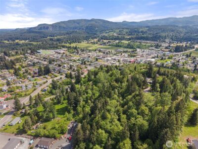 475 Larson Street , Eatonville, WA 98328 - Photo 6