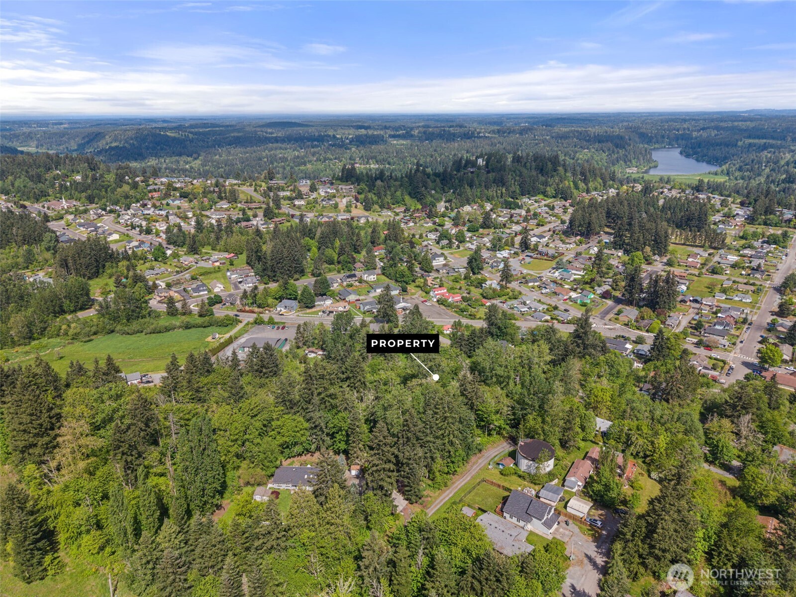 475 Larson Street , Eatonville, WA 98328