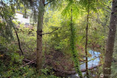 225 131st Avenue NE, Bellevue, WA 98005 - Photo 34