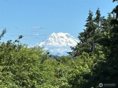 4430 John Luhr Road NE, Olympia, WA 98516 - Photo 5