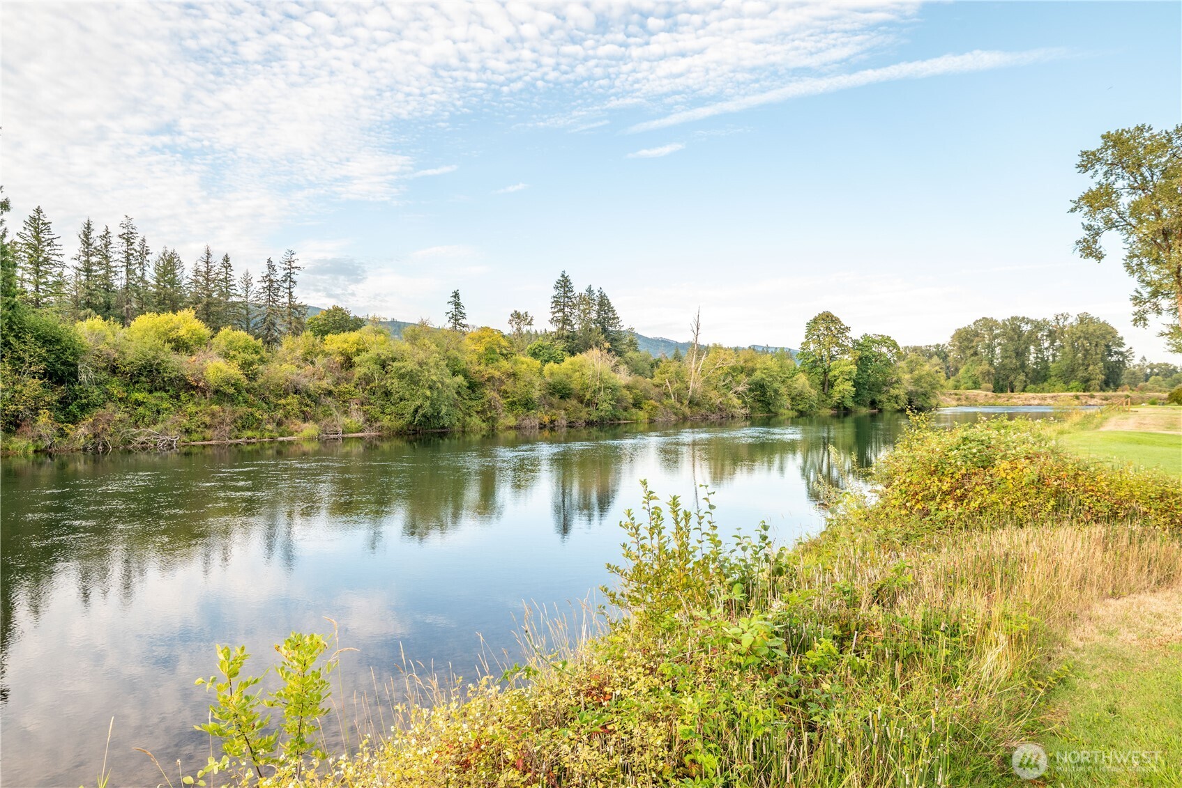 3004 Blue Heron Drive , Woodland, WA 98674
