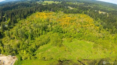 0 Charbonneau Lane SE, Yelm, WA 98597 - Photo 11