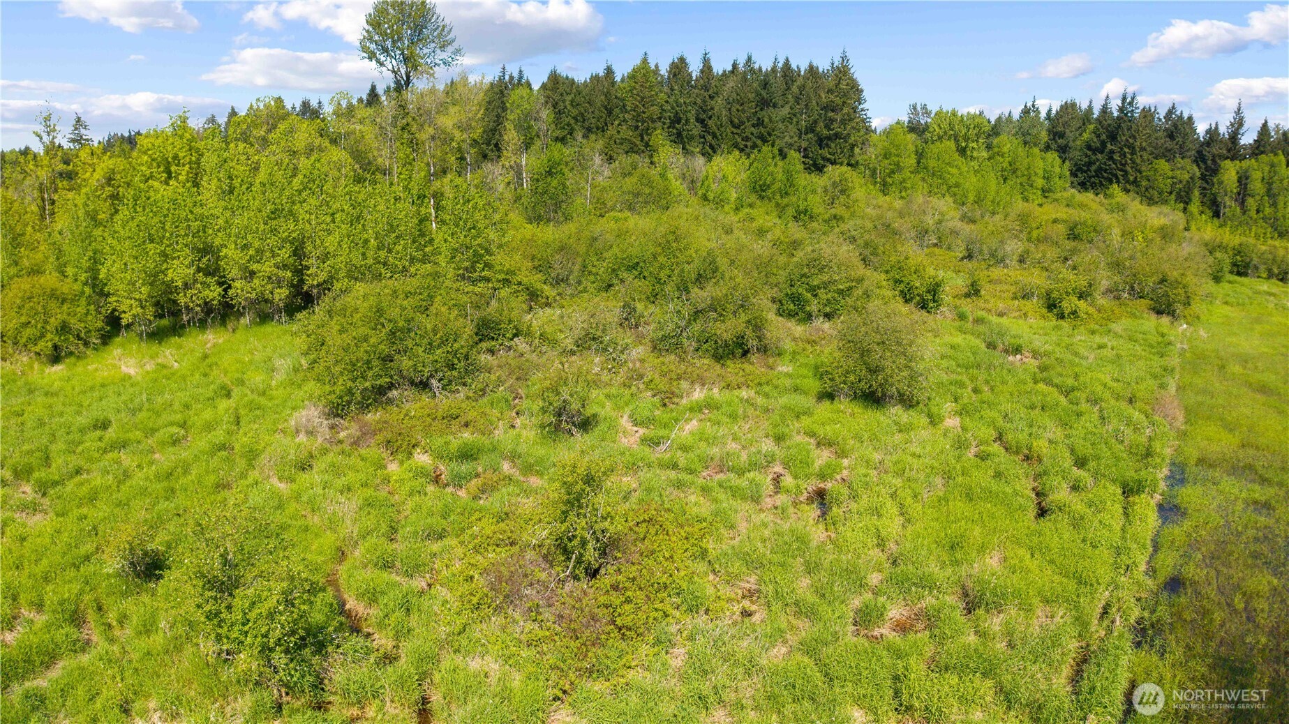 0 Charbonneau Lane SE, Yelm, WA 98597