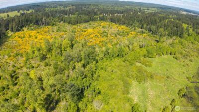 0 Charbonneau Lane SE, Yelm, WA 98597 - Photo 15