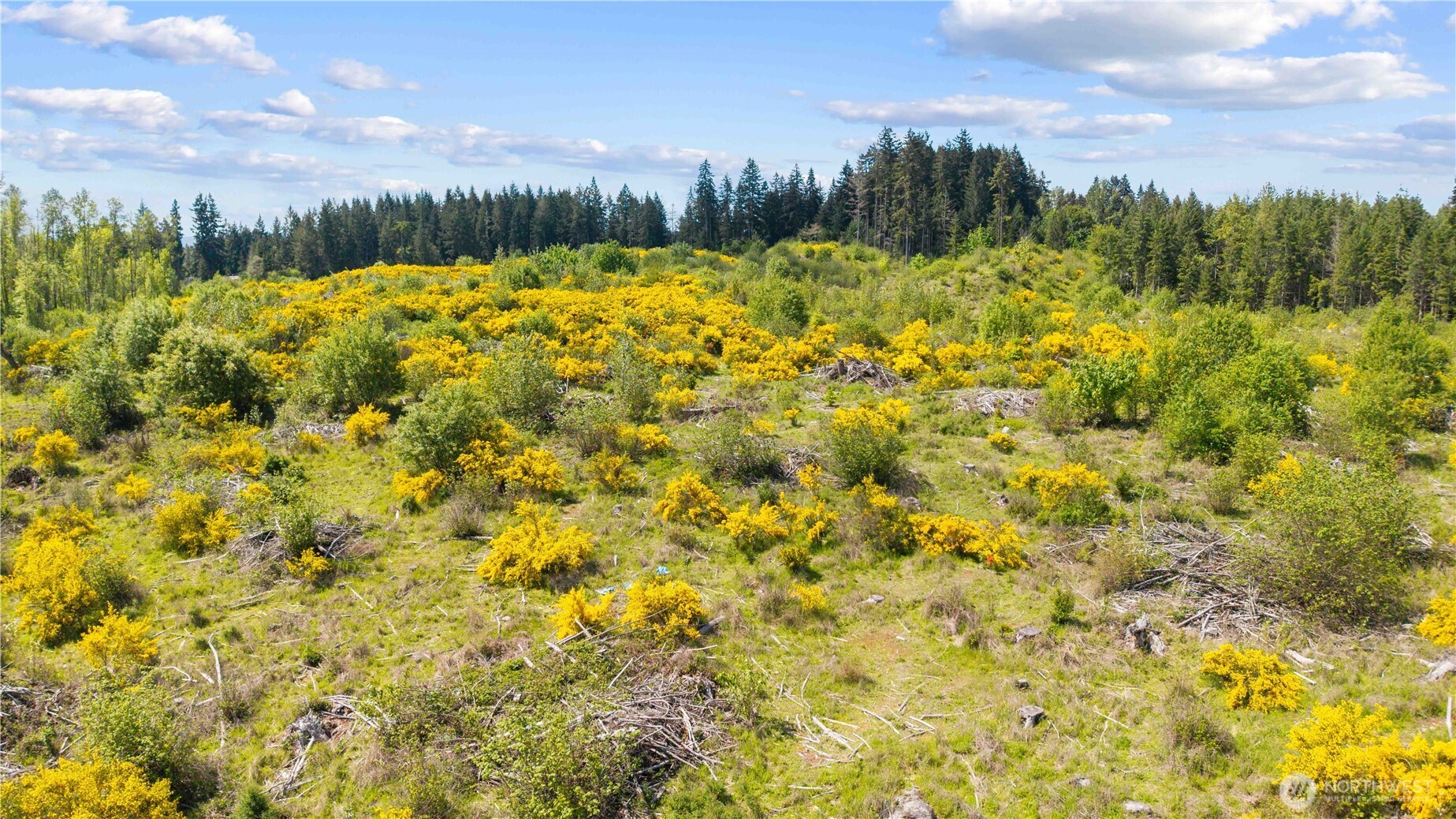 0 Charbonneau Lane SE, Yelm, WA 98597