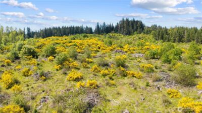 0 Charbonneau Lane SE, Yelm, WA 98597 - Photo 16