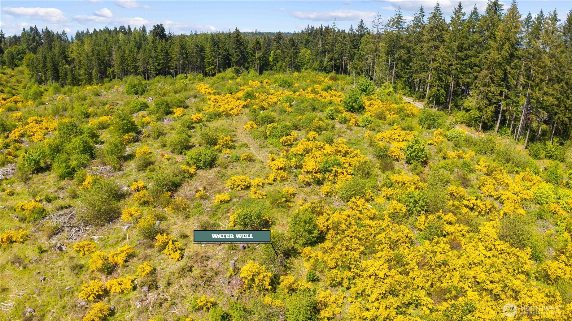 0 Charbonneau Lane SE, Yelm, WA 98597