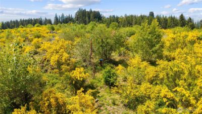 0 Charbonneau Lane SE, Yelm, WA 98597 - Photo 19