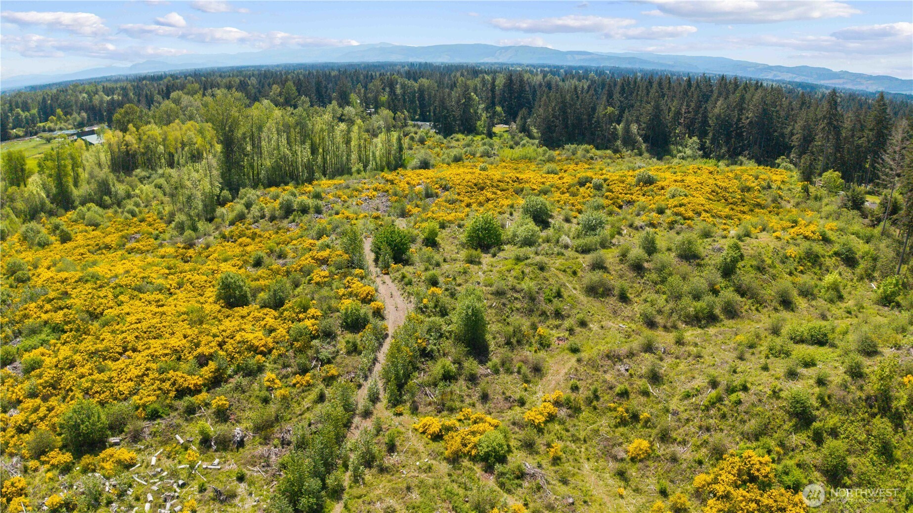 0 Charbonneau Lane SE, Yelm, WA 98597