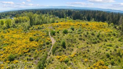 0 Charbonneau Lane SE, Yelm, WA 98597 - Photo 21
