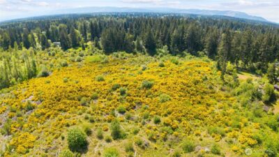 0 Charbonneau Lane SE, Yelm, WA 98597 - Photo 22