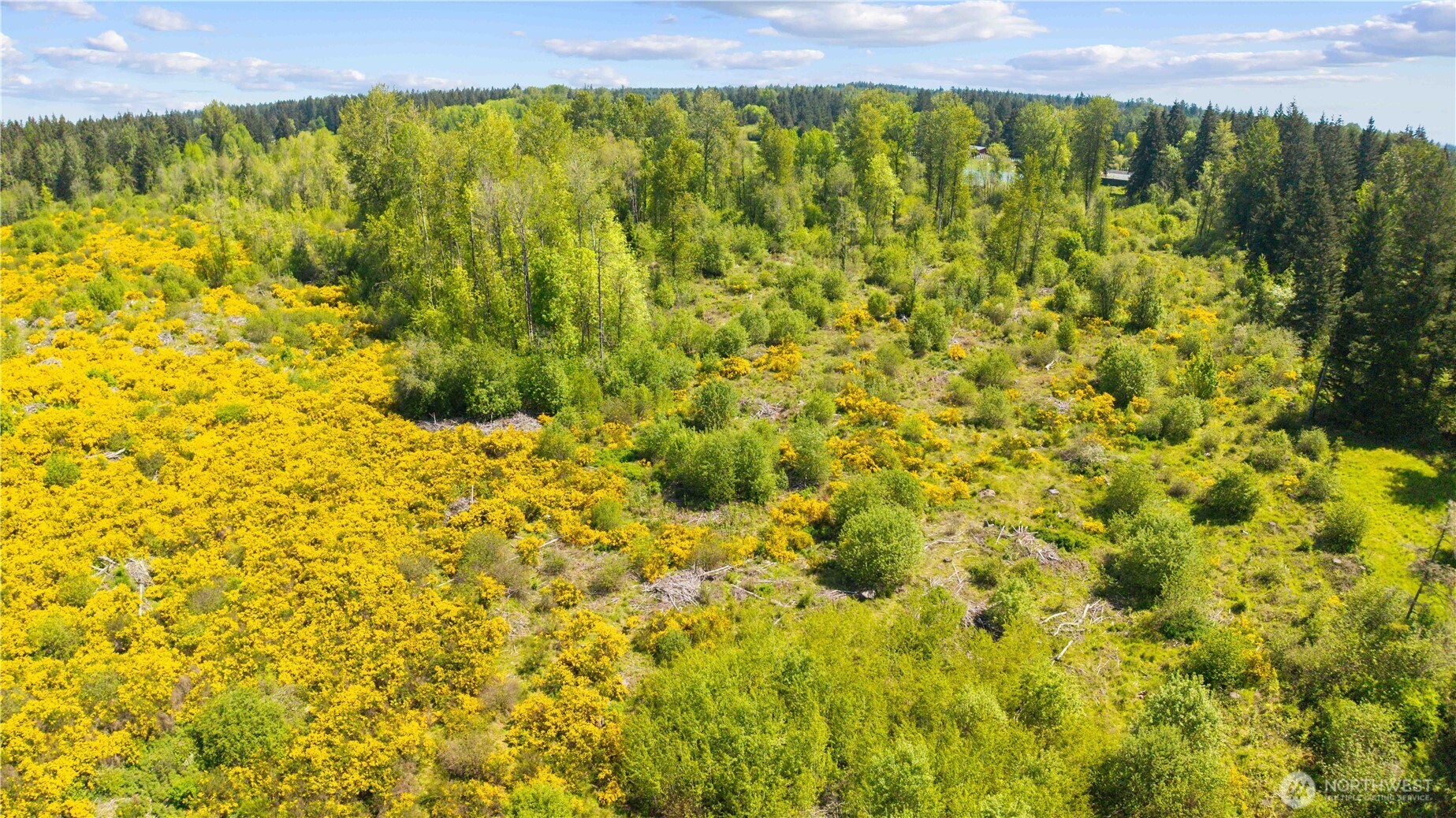 0 Charbonneau Lane SE, Yelm, WA 98597