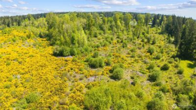 0 Charbonneau Lane SE, Yelm, WA 98597 - Photo 23