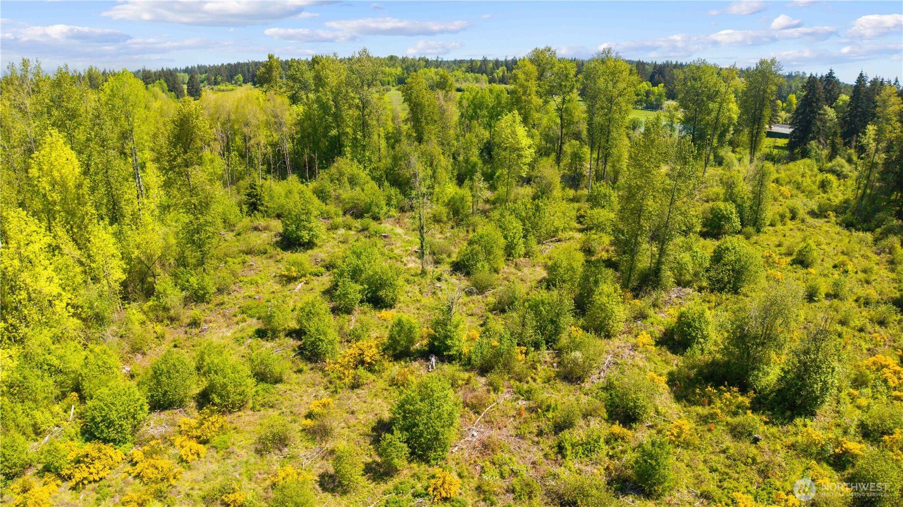 0 Charbonneau Lane SE, Yelm, WA 98597