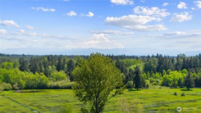 0 Charbonneau Lane SE, Yelm, WA 98597 - Photo 27
