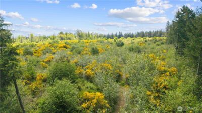 0 Charbonneau Lane SE, Yelm, WA 98597 - Photo 4