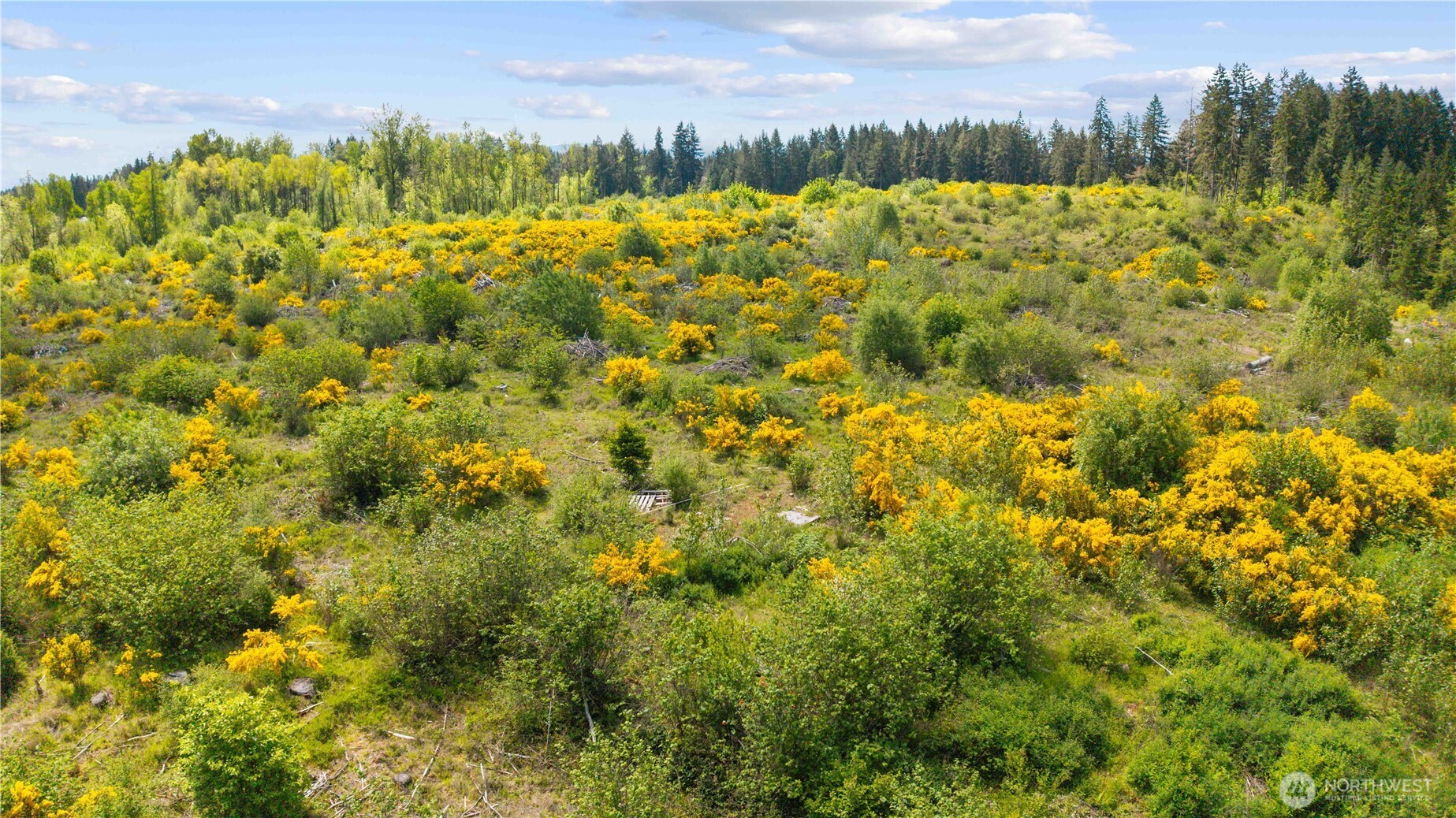 0 Charbonneau Lane SE, Yelm, WA 98597