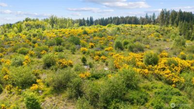 0 Charbonneau Lane SE, Yelm, WA 98597 - Photo 5