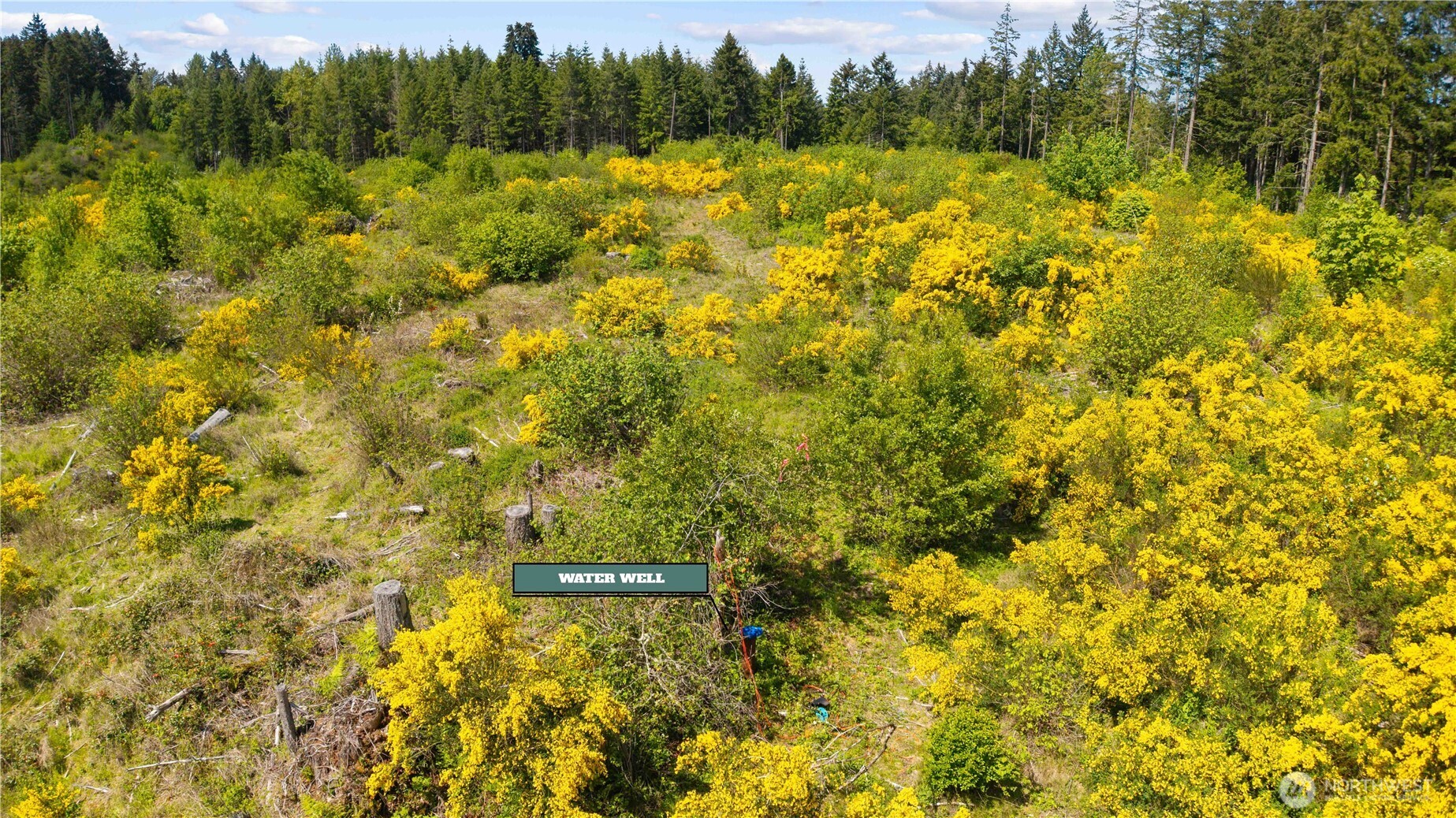 0 Charbonneau Lane SE, Yelm, WA 98597