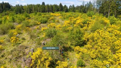 0 Charbonneau Lane SE, Yelm, WA 98597 - Photo 7