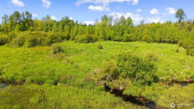 0 Charbonneau Lane SE, Yelm, WA 98597 - Photo 9