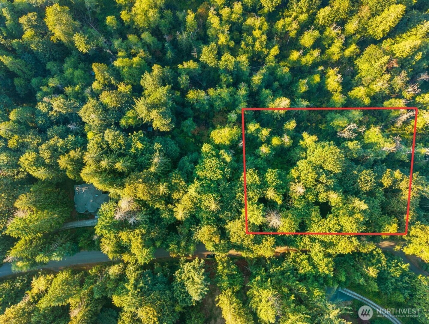 245 xx SE 146th Street , Issaquah, WA 98027