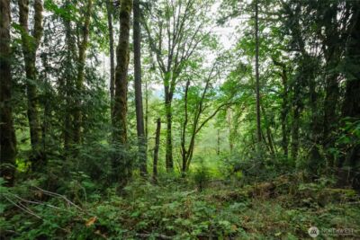 245 xx SE 146th Street , Issaquah, WA 98027 - Photo 5