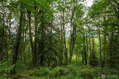 245 xx SE 146th Street , Issaquah, WA 98027 - Photo 6