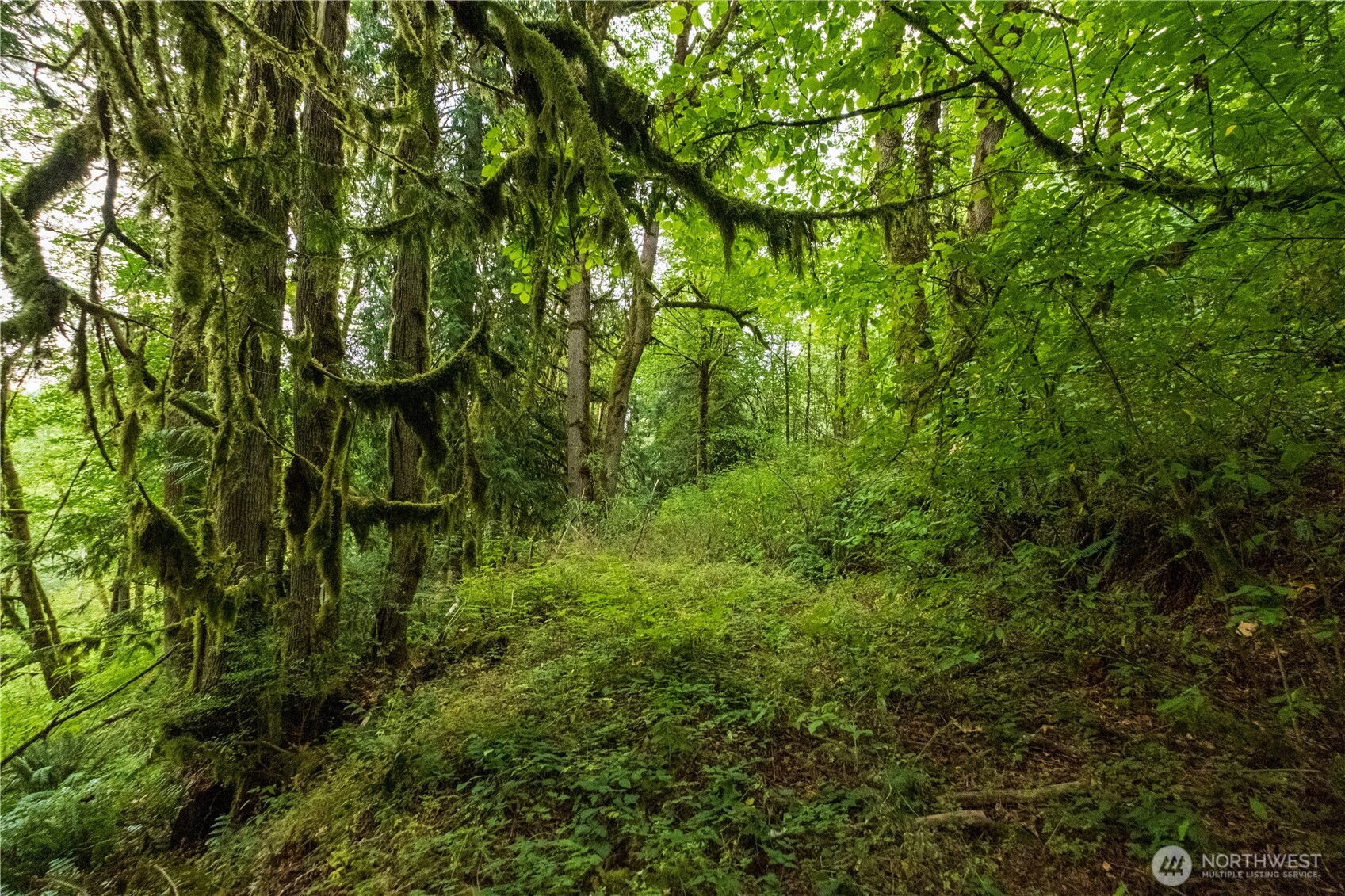 245 xx SE 146th Street , Issaquah, WA 98027