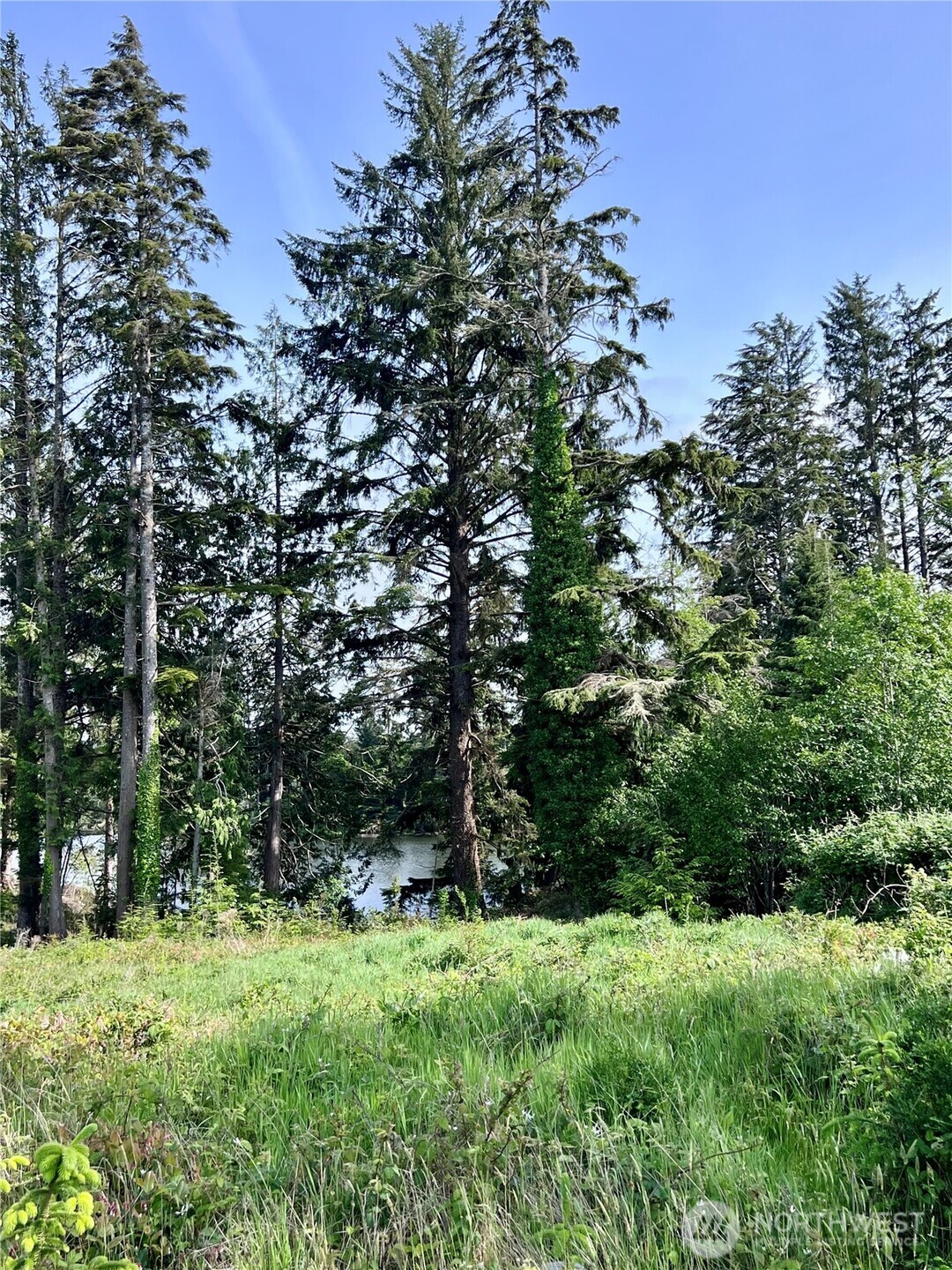 10 Sunrise Lane , South Bend, WA 98586