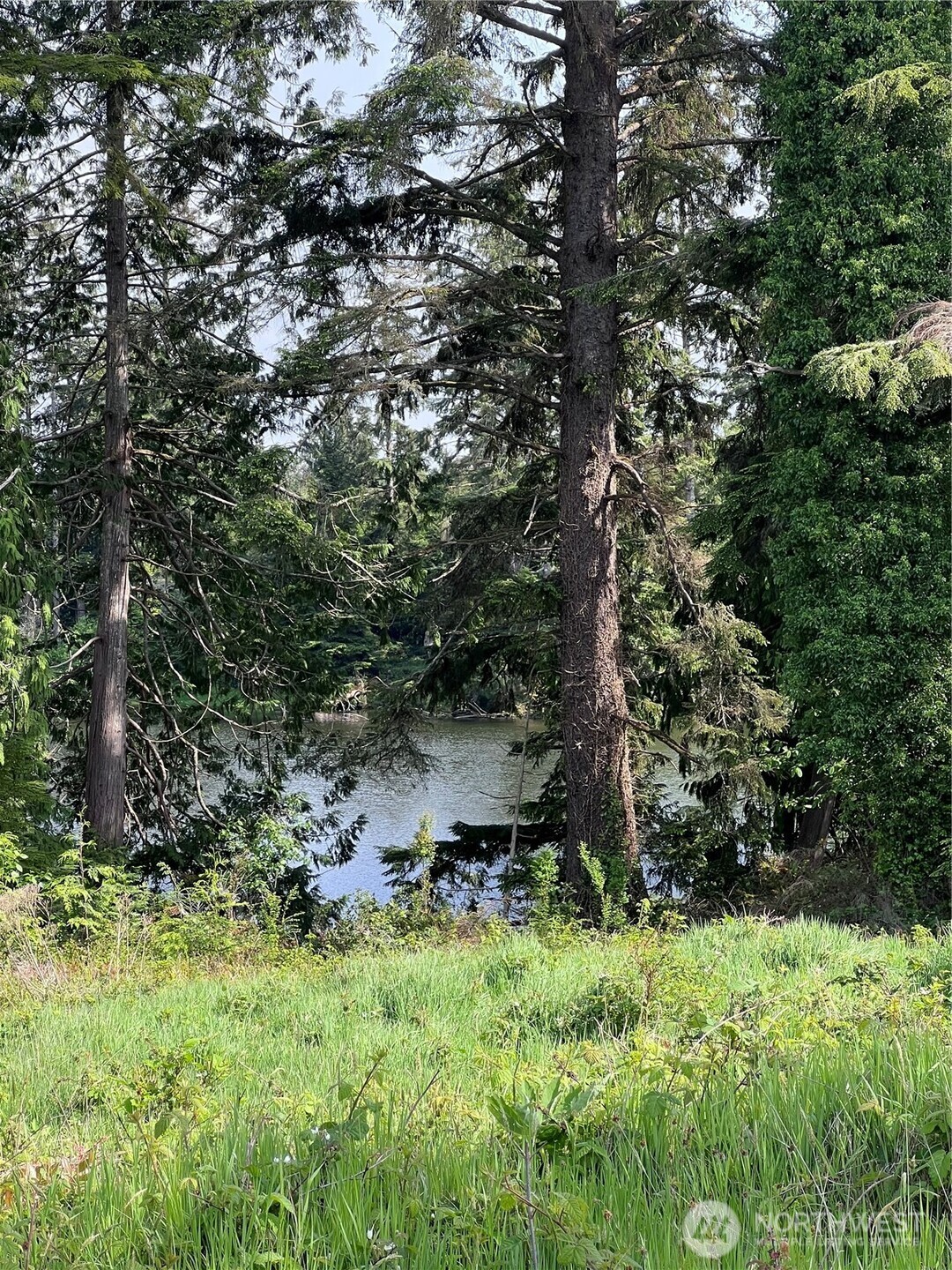 10 Sunrise Lane , South Bend, WA 98586