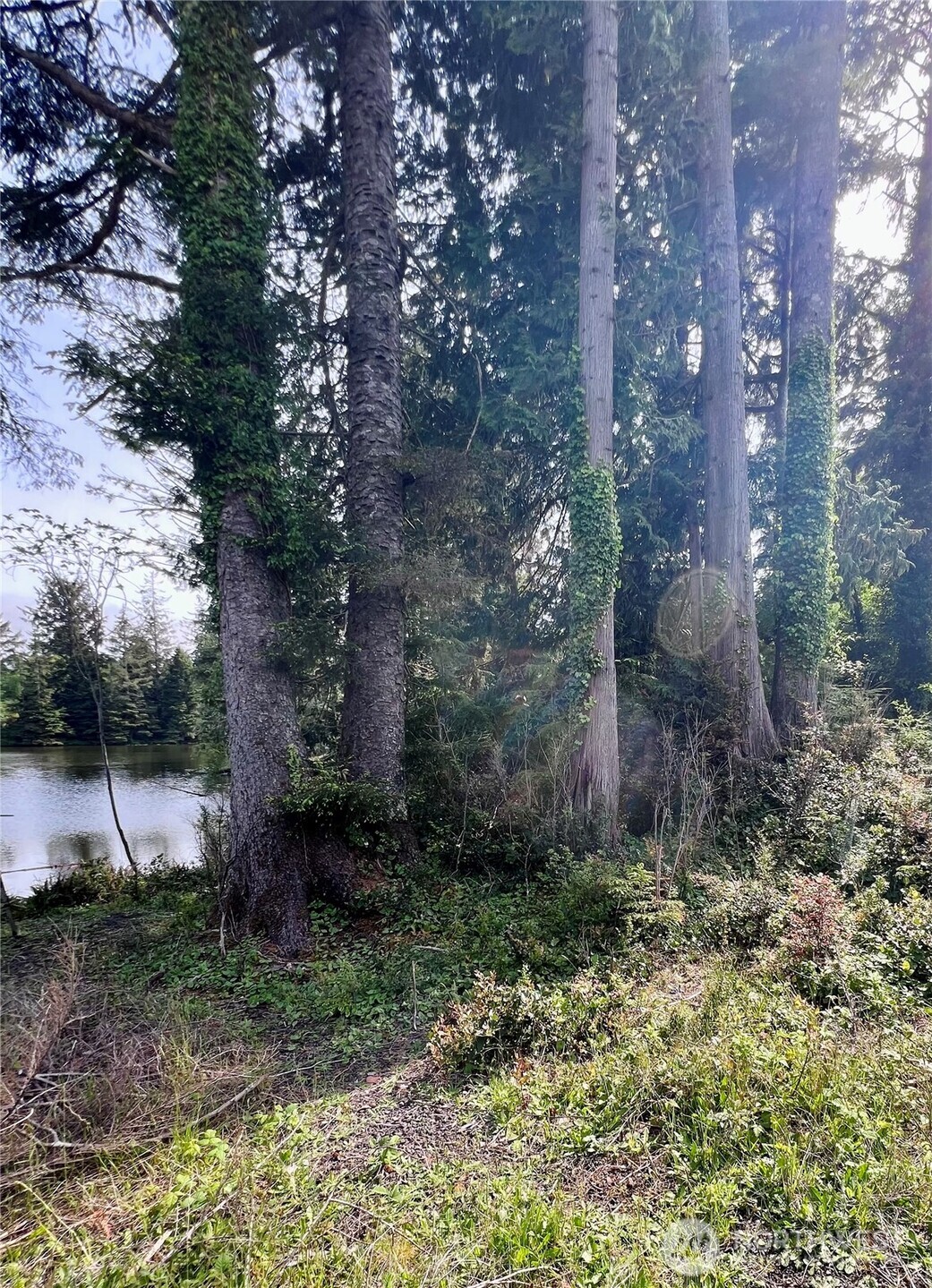 10 Sunrise Lane , South Bend, WA 98586