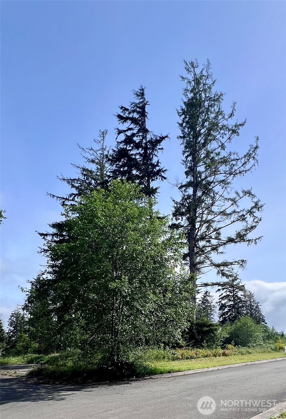 10 Sunrise Lane , South Bend, WA 98586